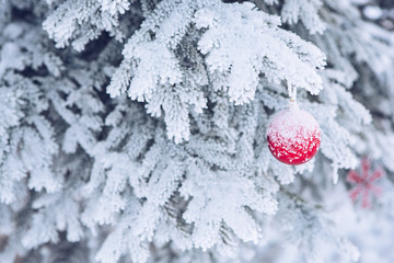 Snow Covered Street Christmas Tree