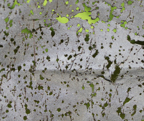 texture material abstract grey green background