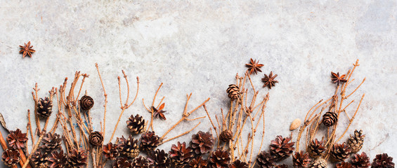 Christmas natural ornate pine cones dried fir tree