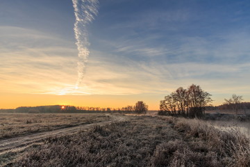trees and grass in the frost by the river