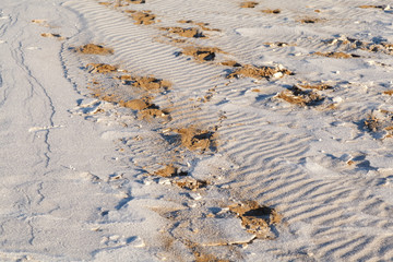 Texture background. Footprints on the frozen sand