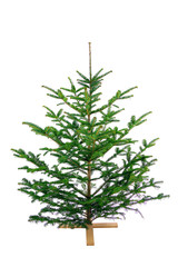 Christmas tree isolated on white, happy new year