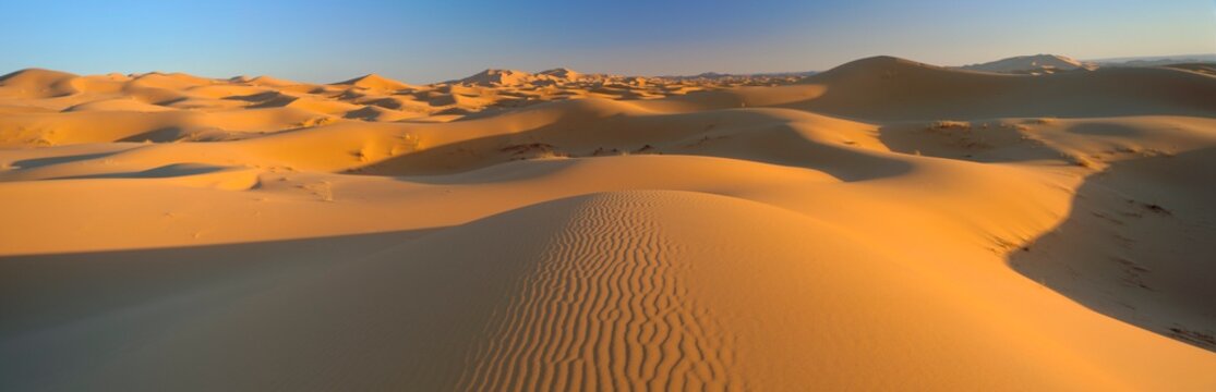 View across sand dunes of the Erg Chebbi, Sahara Desert near Merzouga, Morocco
