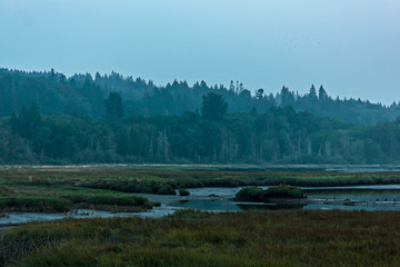 deep evening over wetlands with hazy foggy skys