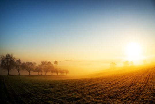 Warm morning sun illuminating dense fog in a colorful rural landscape scene.