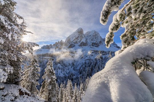 The sun illuminates the snowy trees and Sass De Putia in the background, Passo Delle Erbe, Funes Valley, South Tyrol, Italy, Europe