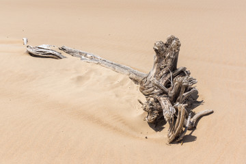 playa de Somo