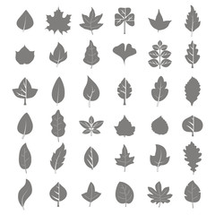 Set of monochrome icons with leaves for your design