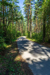 Obraz premium summer asphalt road in perspective