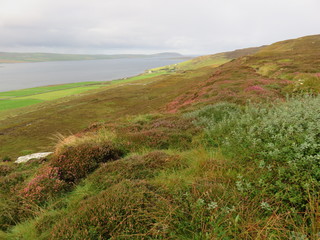 Fototapeta premium Rousay Orkney