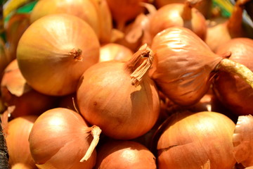 onion lie in a basket on the table