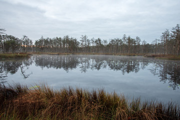 misty morning near swamp lakes