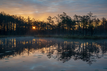 misty morning near swamp lakes