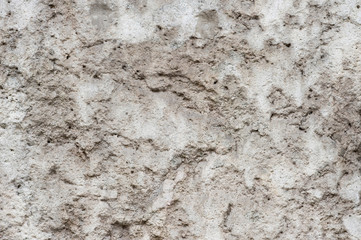 The wall is grey with a rough texture of old concrete. Background