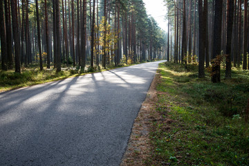 summer asphalt road in perspective