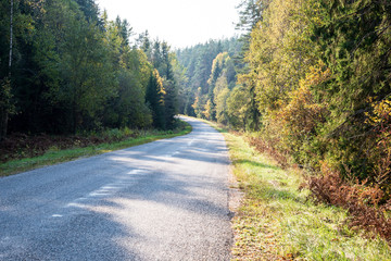 summer asphalt road in perspective