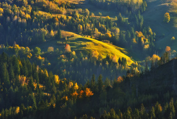 autumn sunset in the Carpathian mountains. picturesque evening in the mountains