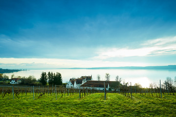 Blick von Birnau auf das Südufer des Bodensees
