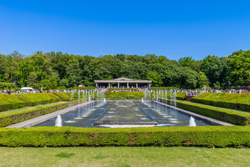 神代植物公園のバラ園