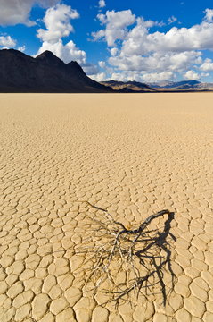 The Grandstand in Racetrack Valley, a dried lake bed known for it's sliding rocks on the Racetrack Playa, Death Valley National Park, California, USA