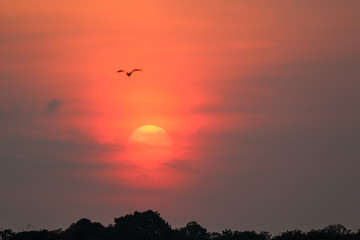 sunrise in the sky