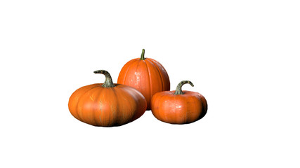 3d render of pumpkin on white background
