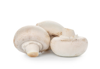 Raw mushrooms on white background