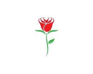  Rose flower Logo Template illustration