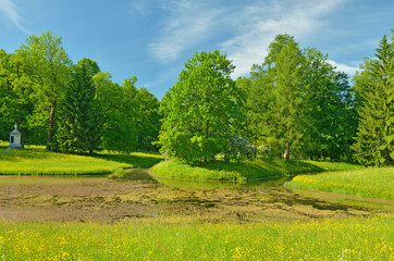 Beautiful forest landscape.