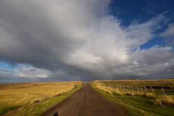 Fototapeta premium Isola di Pasqua, stagione delle piogge