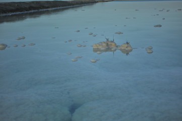 dead sea
