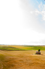 Little House on the Praire with a tree and farmland in the background 