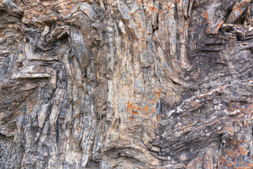 gray stone texture background.Rock texture. Beautiful texture