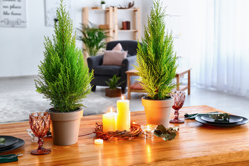 Pots with lemon cypress trees, candles and decor on wooden table
