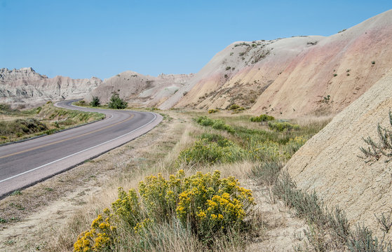 Scenic Drive in South Dakota:  A road in Badlands National Park curves among jagged rock formations, blooming wildflowers and arid hills in rainbow colors.