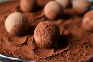 Sweet truffles with cacao powder on plate, closeup