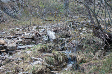 Small stream in the forest on Peñagolosa mountain