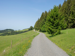 Fototapeta na wymiar Schwarzwald. Gersbach im Berg. Panoramaweg entlang des Berges Rohrenkopf