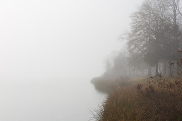 Obraz na płótnie Canvas Trees on foggy lake shoreline