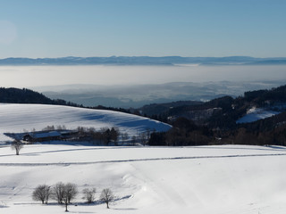 Gersbach im Schwarzwald bei klarem Wetter sind die Schweizer Alpen mit dem „Dreigestirn“ Eiger, Mönch und Jungfrau zu sehen