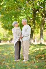 Fototapeta premium Portrait of cute old couple at park