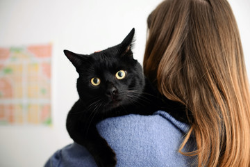 Cute black cat with owner at home
