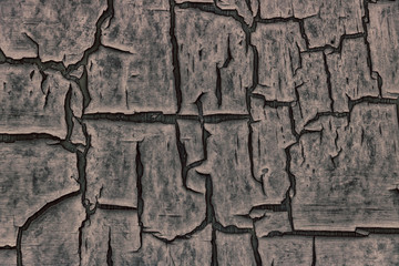 The old cracked paint on a wall surface.