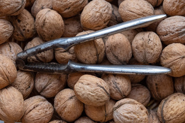Many walnuts with a nutcracker