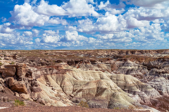 View of the Petrified Forest National Park in Arizona, USA