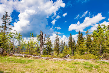 Wilderness in the Allgauer Alps - Bavaria - Germany