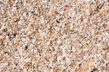 texture, shell rock, pattern