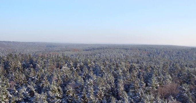 Winterwald