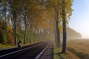 Biker and Tree lined road in Île de France country