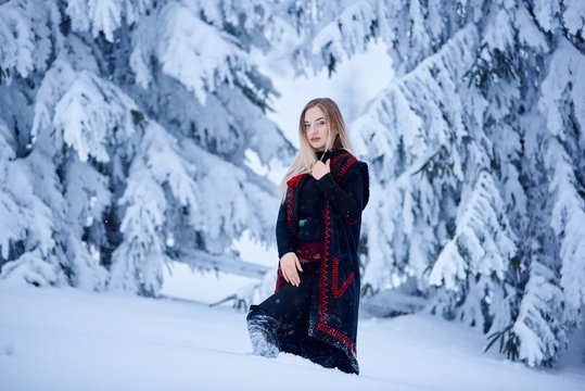 Attractive woman in dark blue embroidered long sleeveless sheepskin fur coat and kerchief with floral design outdoors in deep snow on winter day on blurred background of snowy spruce trees.